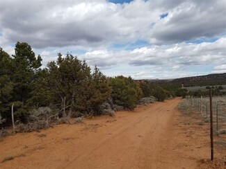103 Tbd Unit 103, Glade Park, CO 81523
