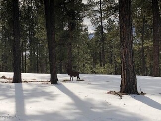 12 Cr 2087, Alpine, AZ 85920