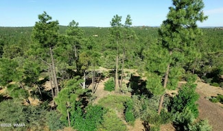 1880 S Twin Peak Trail, Show Low, AZ 85901