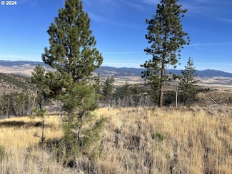 25422 Baldy Mountain Rd, Johnday, OR 97845