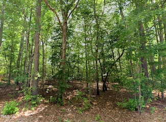 Lot 13 Greenvalley Dr, Littleton, NC 27850