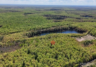 TBDH Winona Rd, Elm River Township, MI 49965