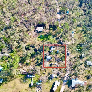 297 SE Yorkshire Rd, Mayo, FL 32066