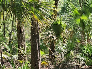 167 NE 396th St, Old Town, FL 32680