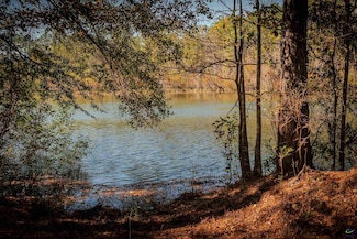 1446 Avera Rd, Roberta, GA 31078