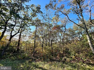 0 Timber Ridge Trail Unit VAFV2021384, Winchester, VA 22602
