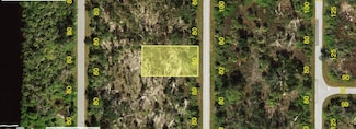 1055 Forrestal St, Port Charlotte, FL 33953