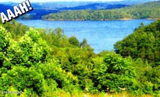 Lot 406 Flint Ridge Rd, Rockwood, TN 37854