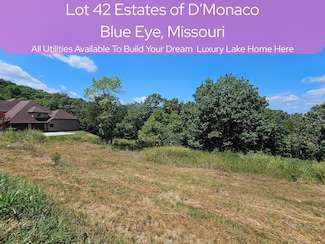 Lot 42 Valencia, Blue Eye, MO 65611