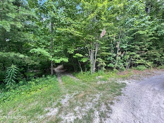 0 E Loomis Rd, Jamestown, TN 38556