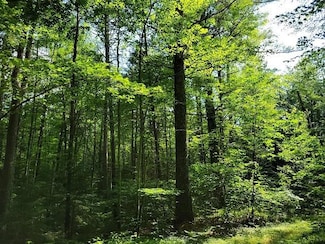 Lot #6 Bills Lake Rd Unit Lot 6, Lac Du Flambeau, WI 54538