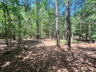 0 Gregg Shoals Dr Unit LotWP001 24031325, Elberton, GA 30635