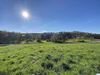 6423 Highway 174 Unit Tract 4, Springville, AL 35146