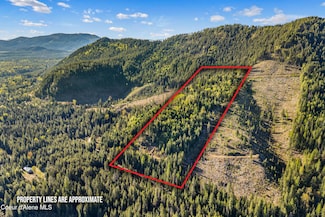 858 Pup Paw Trail, Priest River, ID 83856