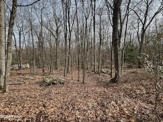 0 Paper Birch Rd N, Tafton, PA 18464