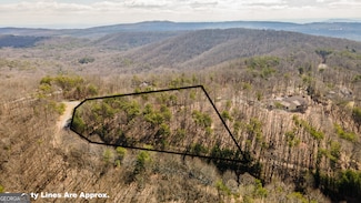 0 S Shivas Crest Unit 10473535, Rising Fawn, GA 30752