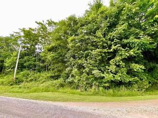 91 Whitetail Ridge, Wellsburg, WV 26070