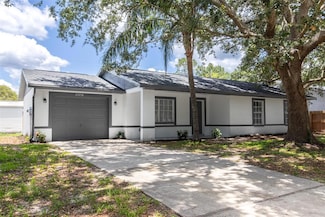 22716 Penny Loop, Land O Lakes, FL 34639