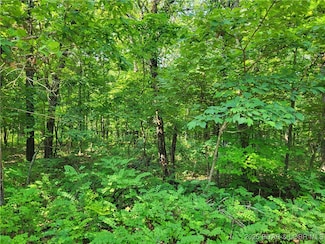 0 Kean Ln Unit Lot 2371, Union Township, MO 65326