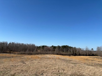 00 County Road 125, Bruce, MS 38915