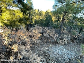 L1-2 & 45 Huff & Miles Loop, Timberon, NM 88350