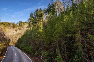 5574 Red Fox Ln, Big Canoe, GA 30143