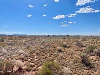 2984 King St Unit 286, Williams, AZ 86046