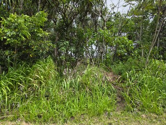 0 Wehelauniu St Unit 722329, Pahoa, HI 96778