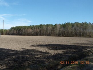 0 E Us Highway 264 Unit 70033059, Pantego, NC 27860