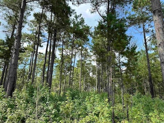 Tbd Highway 521, Salters, SC 29590