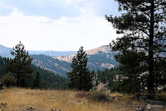 38 Excelsior Way, Curlew, WA 99118