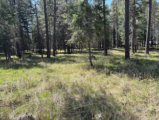 NHN Sanders Loop W, Thompson Falls, MT 59873