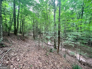 0 Hornets Bridge Rd Unit 10431927, Elberton, GA 30635