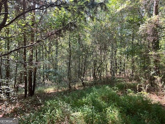 124 S Kelley St, Tallapoosa, GA 30176