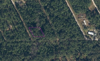 314 Hawknest Rd, Satsuma, FL 32189