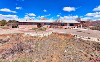 27980 Road T, Dolores, CO 81323