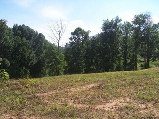0 Cherry Creek Rd Unit 135590, Meadows of Dan, VA 24120