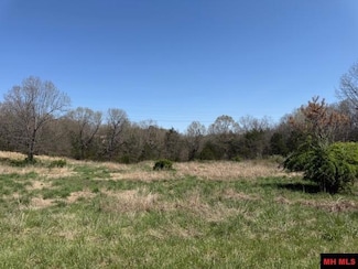 002-11074-107 Basswood Dr, Mountain Home, AR 72653