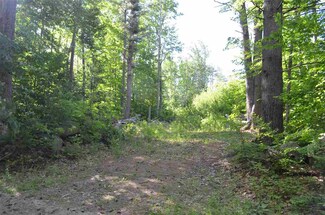 0 Duck Pond Ln, Warner, NH 03278