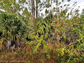 0 Farmington Ave Unit 319475, North Port, FL 34288