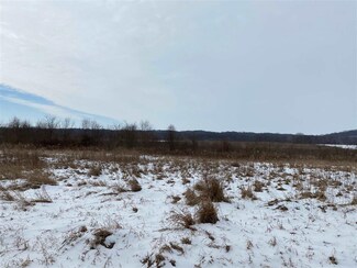 1100 N Sandhill Rd, Covington, IN 47932