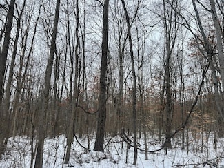 0 Red Lane Rd Unit LotWP001 22518002, Cumberland, OH 43732