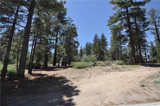 0 Mcalister St Unit 32405233, Big Bear City, CA 92315