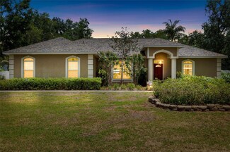 12436 Oak St, San Antonio, FL 33576