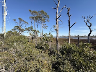 TBD Cape San Blas Rd, Port St. Joe, FL 32456