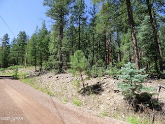 9 County Road 2073, Alpine, AZ 85920
