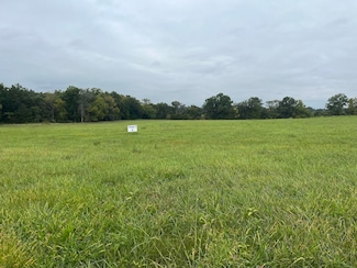 0 Cr 252 - Tract 4 Unit 422796, Fulton, MO 65251