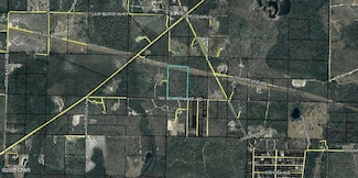 2520 NW Center Lake Rd, Fountain, FL 32438