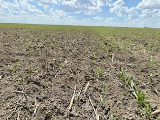 County Road Xx, Holly, CO 81047