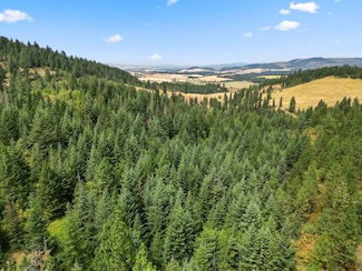 0 Tbd Bluegrass Ln Unit 23086677, Kendrick, ID 83537